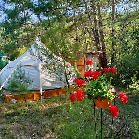 Vinsan Glamping & Wellness Centre Hotel Eleousa Luaran gambar