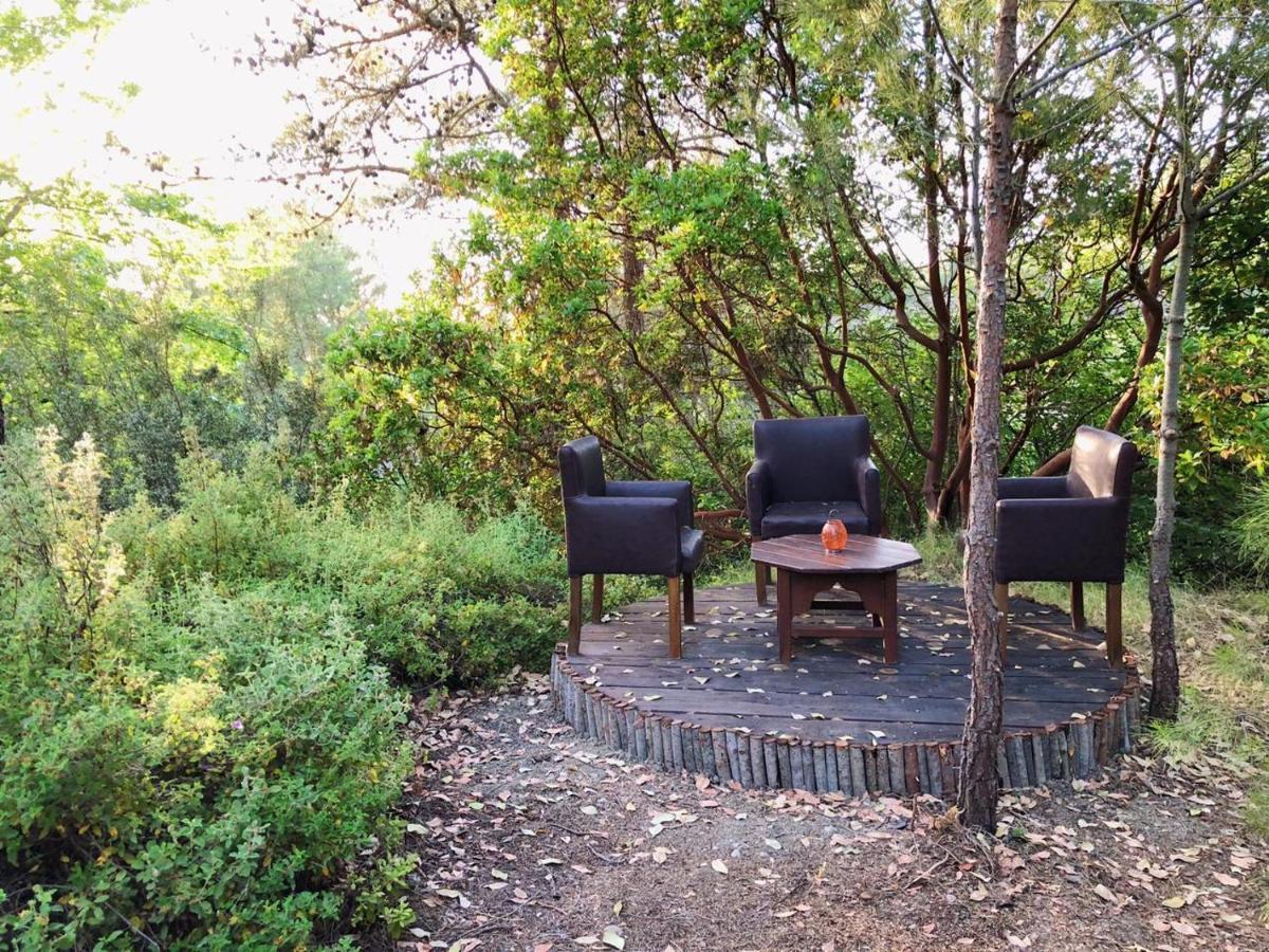 Vinsan Glamping & Wellness Centre Hotel Eleousa Luaran gambar